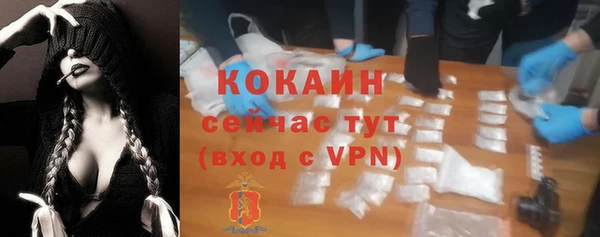 прущие грибы Аркадак