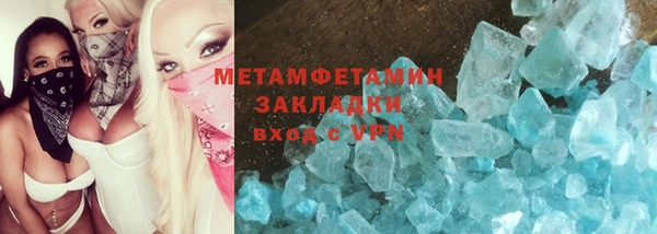 прущие грибы Аркадак